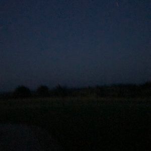 Meet your Posher, Joni